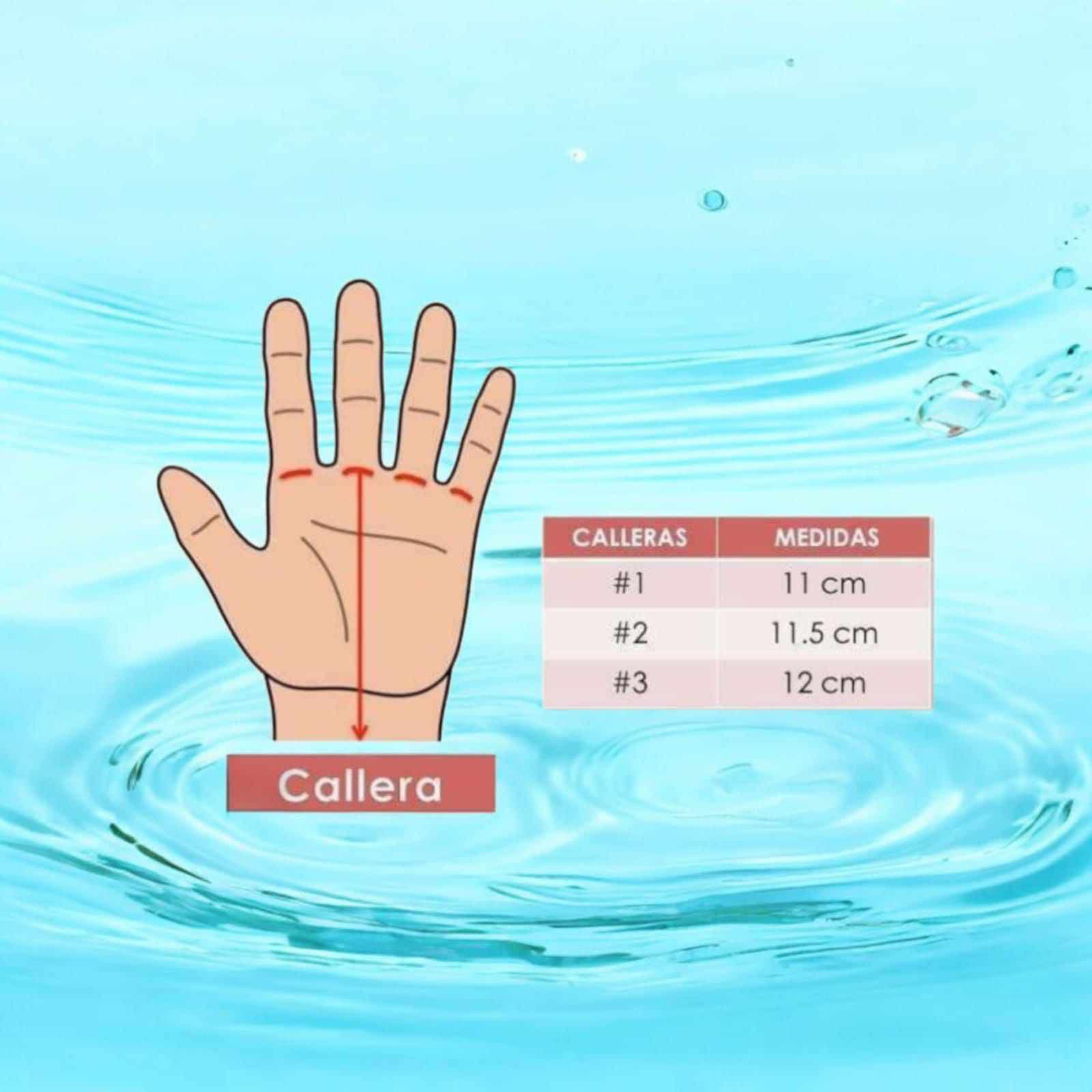 Descripción de la imagen